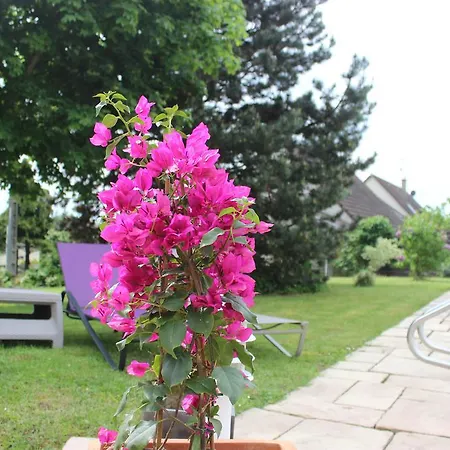 Tatil Evi De La Route Du Vin Ribeauvillé