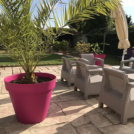 Tatil Evi De La Route Du Vin