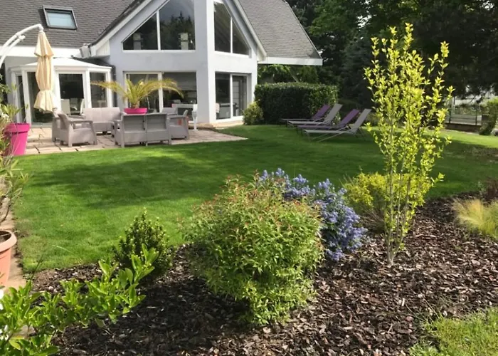 De La Route Du Vin Ribeauvillé