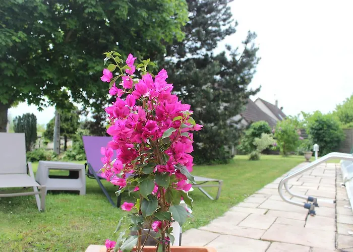 Ferienhaus De La Route Du Vin Ribeauvillé